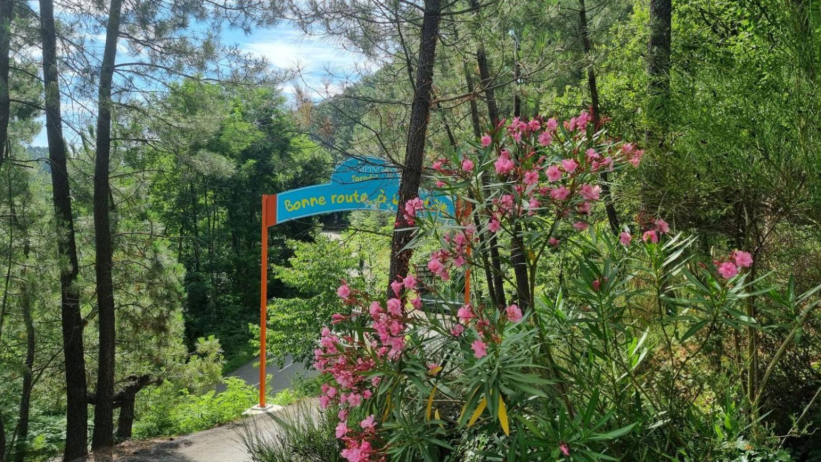Village De Chalets Joyeuse Dış mekan fotoğraf