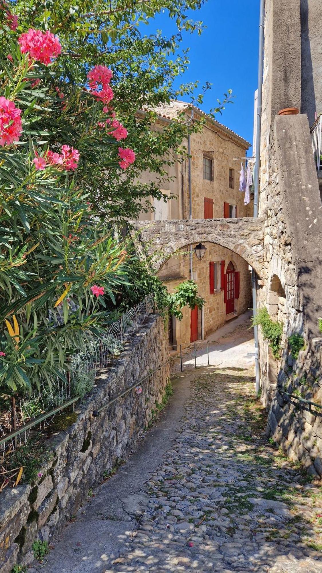 Village De Chalets Joyeuse Dış mekan fotoğraf