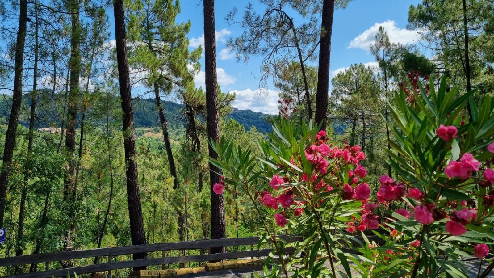 Village De Chalets Joyeuse Dış mekan fotoğraf